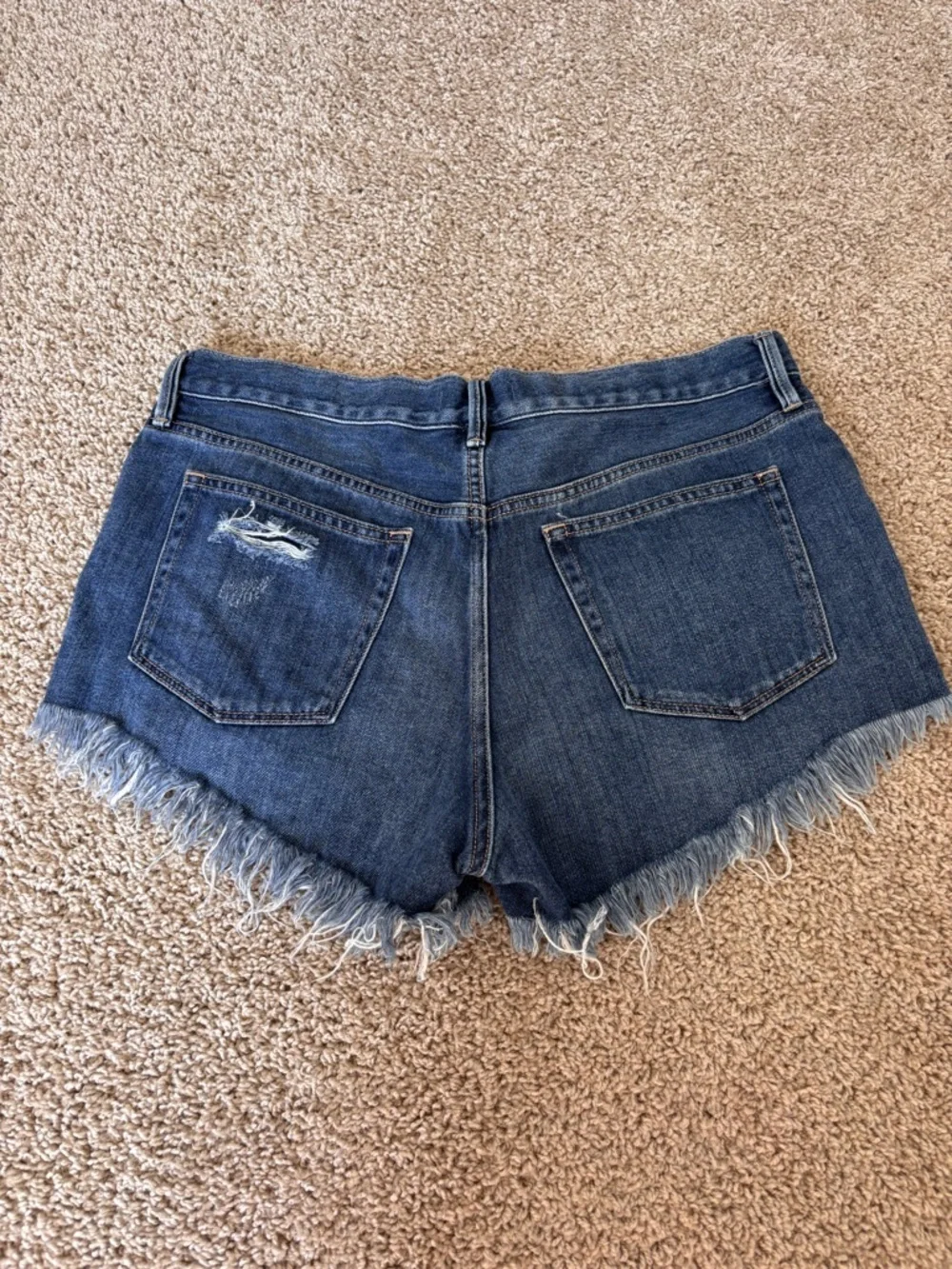 Free People Frayed Hem Dark Blue Denim Shorts Sz 30